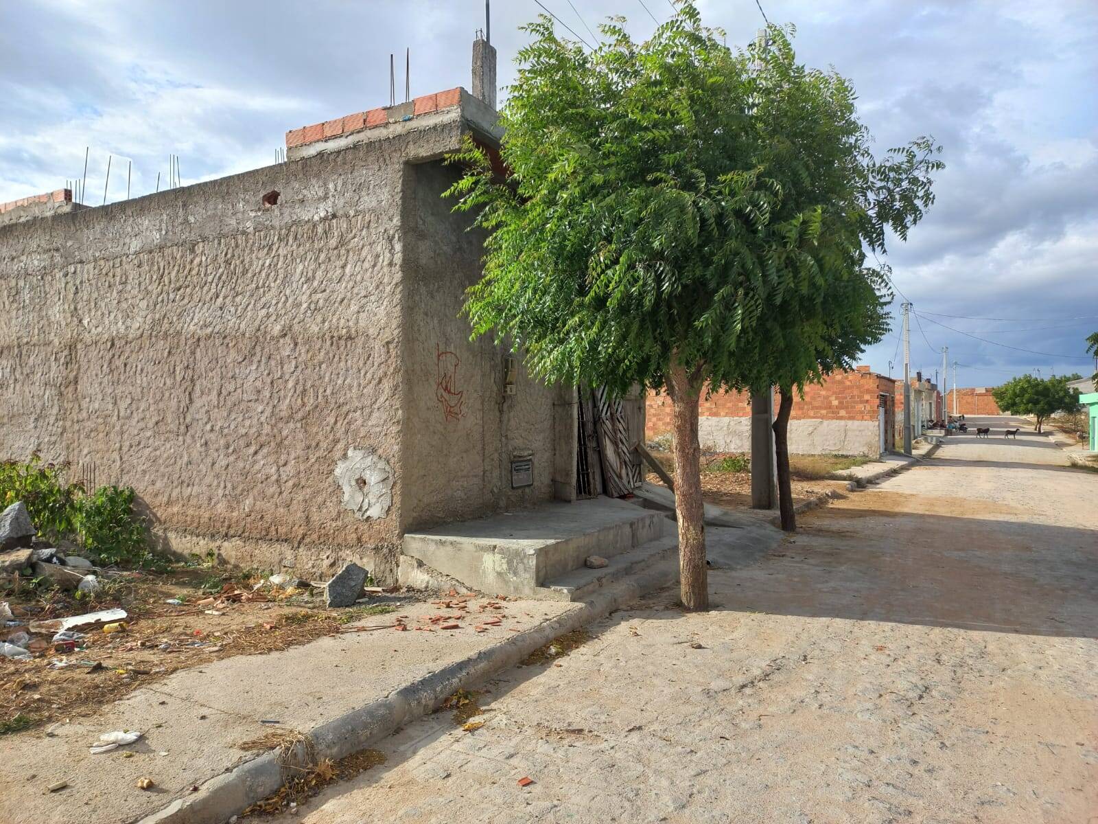 #32 - Casa para Venda em Coronel João Sá - BA