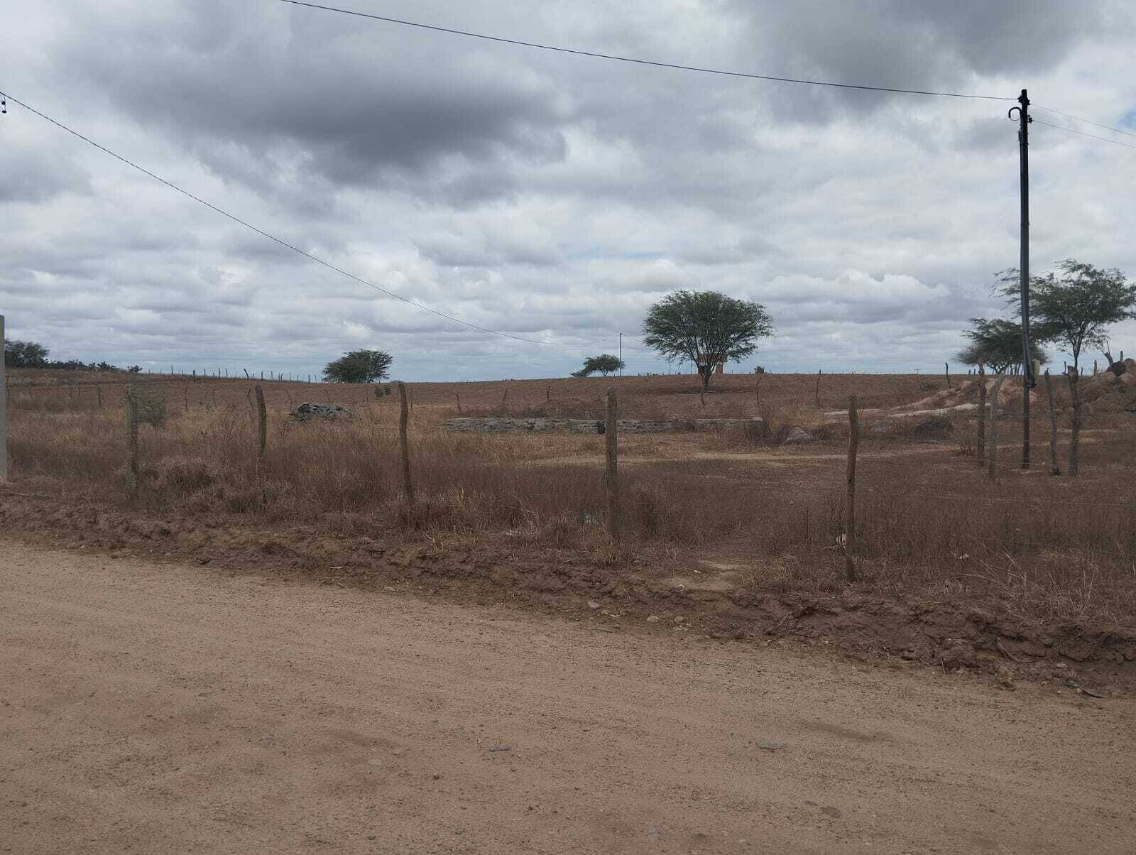 #53 - Terreno para Venda em Coronel João Sá - BA