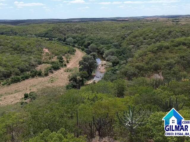 #4 - Área para Venda em Coronel João Sá - BA - 2