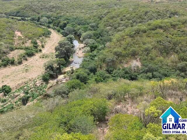 #4 - Área para Venda em Coronel João Sá - BA - 3