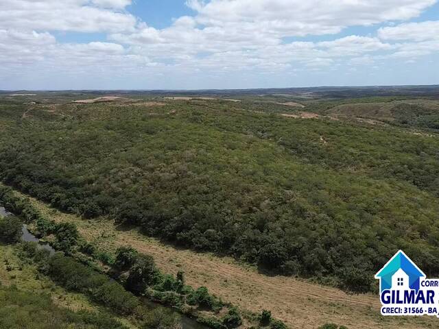 Área para Venda em Coronel João Sá - 4