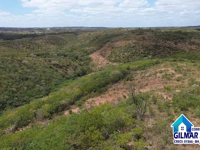 Área para Venda em Coronel João Sá - 5