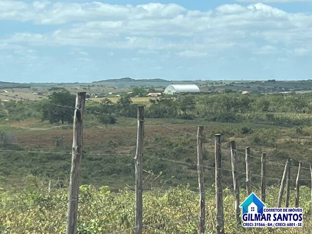 #4 - Área para Venda em Coronel João Sá - BA - 1