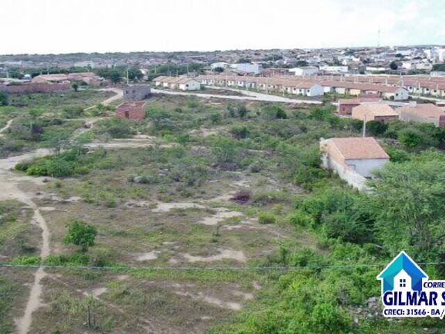 Área para Venda em Coronel João Sá - 5