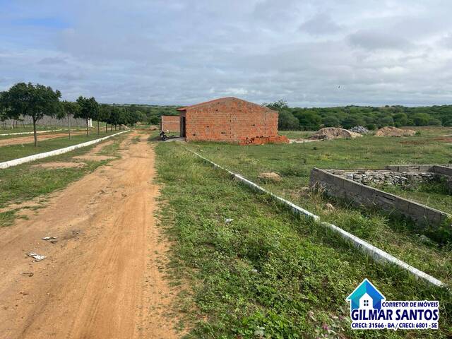 Área para Venda em Coronel João Sá - 4