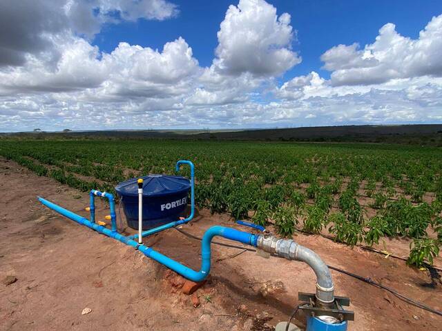 Área para Venda em Jeremoabo - 4