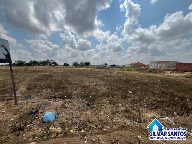 #33 - Terreno para Venda em Coronel João Sá - BA - 2