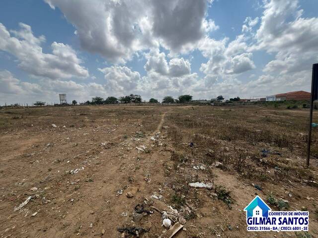 Terreno para Venda em Coronel João Sá - 4