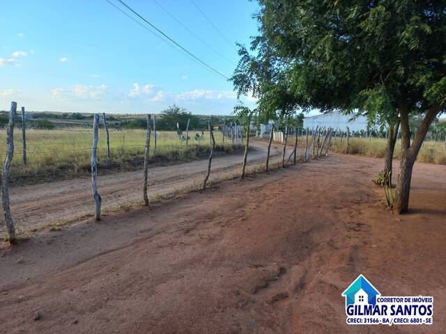 Chácara para Venda em Coronel João Sá - 5