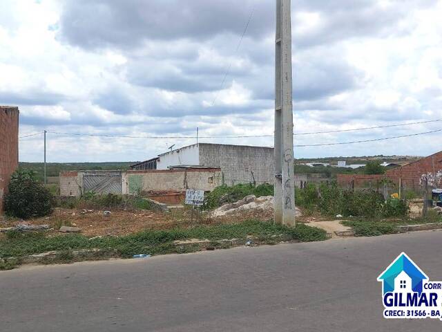 #44 - Terreno para Venda em Coronel João Sá - BA - 2