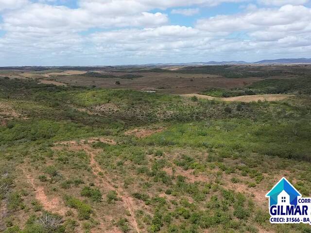 #45 - Terreno para Venda em Coronel João Sá - BA - 2