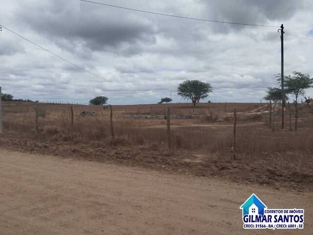 #53 - Terreno para Venda em Coronel João Sá - BA - 1