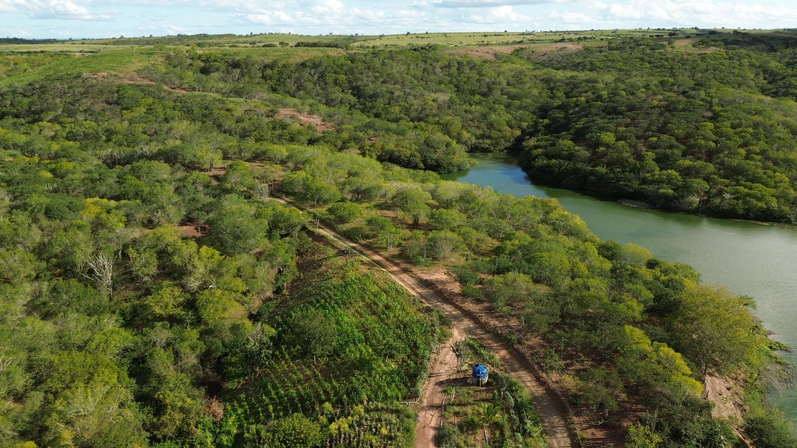 050f751f-bd8b-4e98-8119-367a0c767706