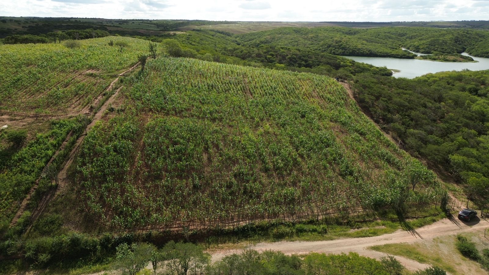 1f138980-e4f9-4a3f-a791-b1444a9c97d4