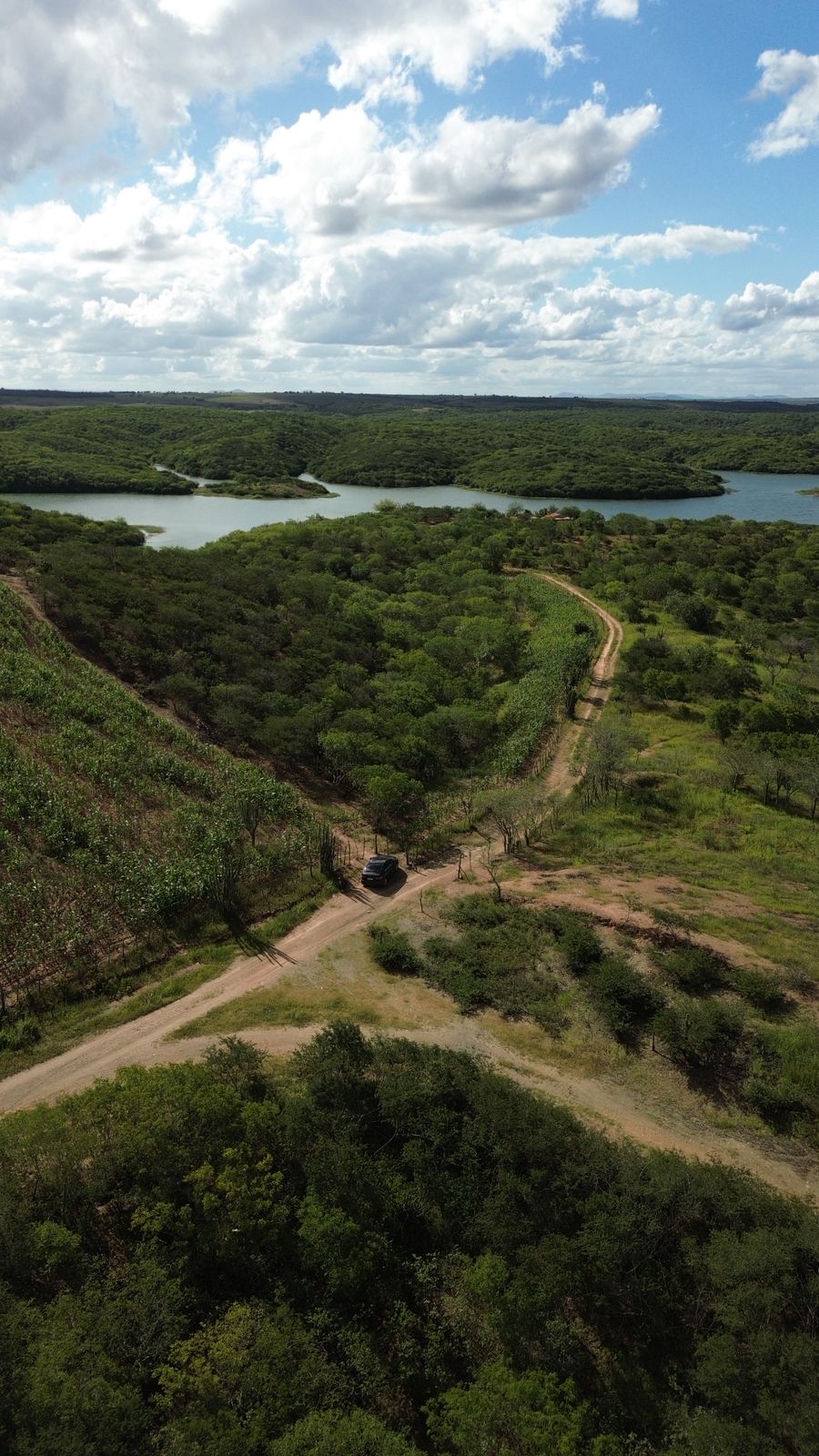 22db78fd-421a-48b0-aa5d-1ce8faf4e812