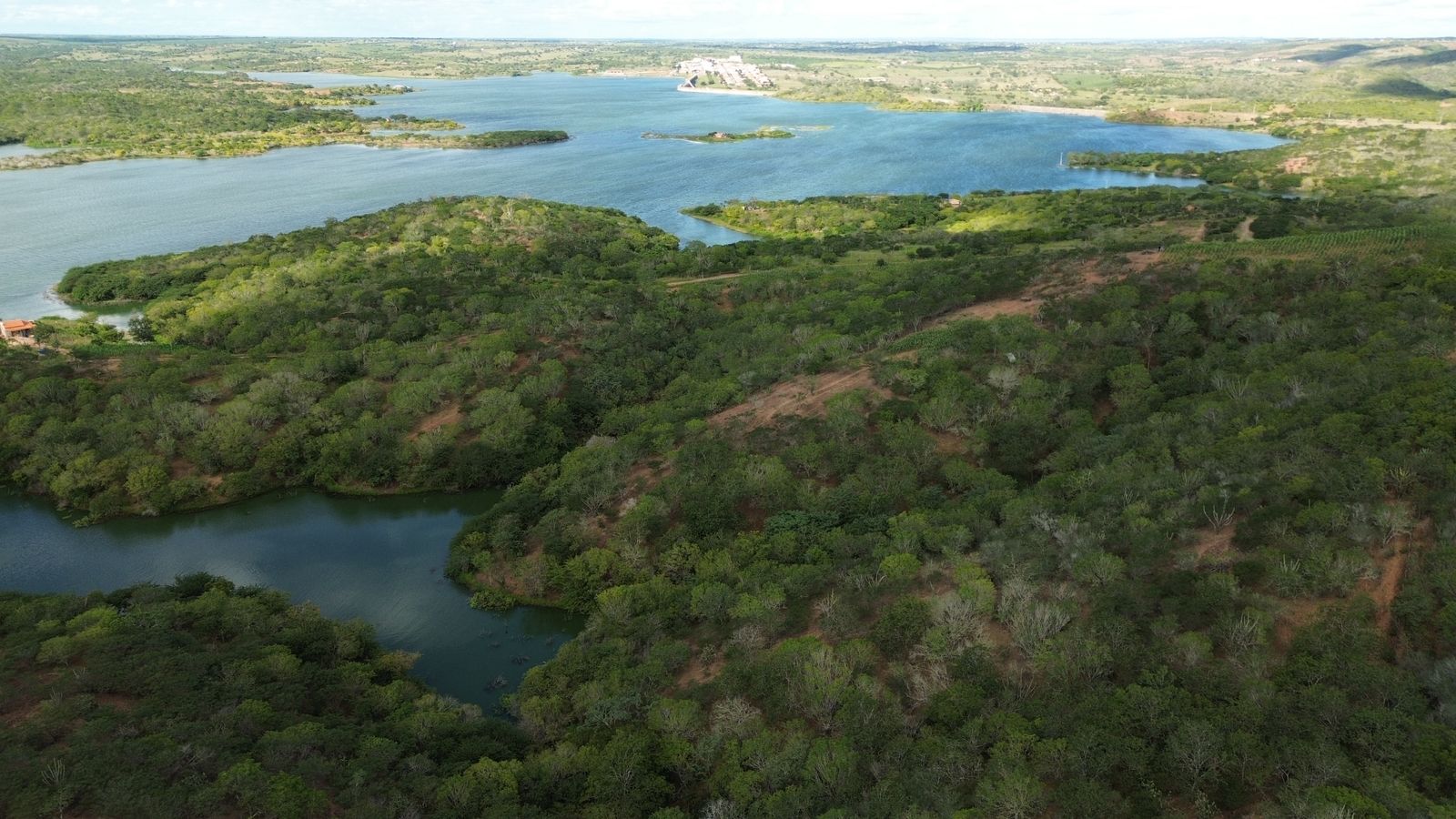 31f8c177-d514-49d8-9531-d7352065bda1