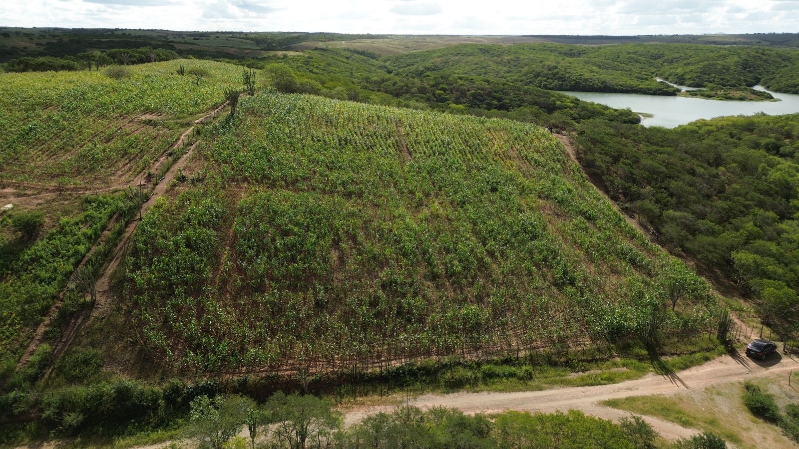 7daec2fe-9a7a-4f8a-ab5a-615463aef73c