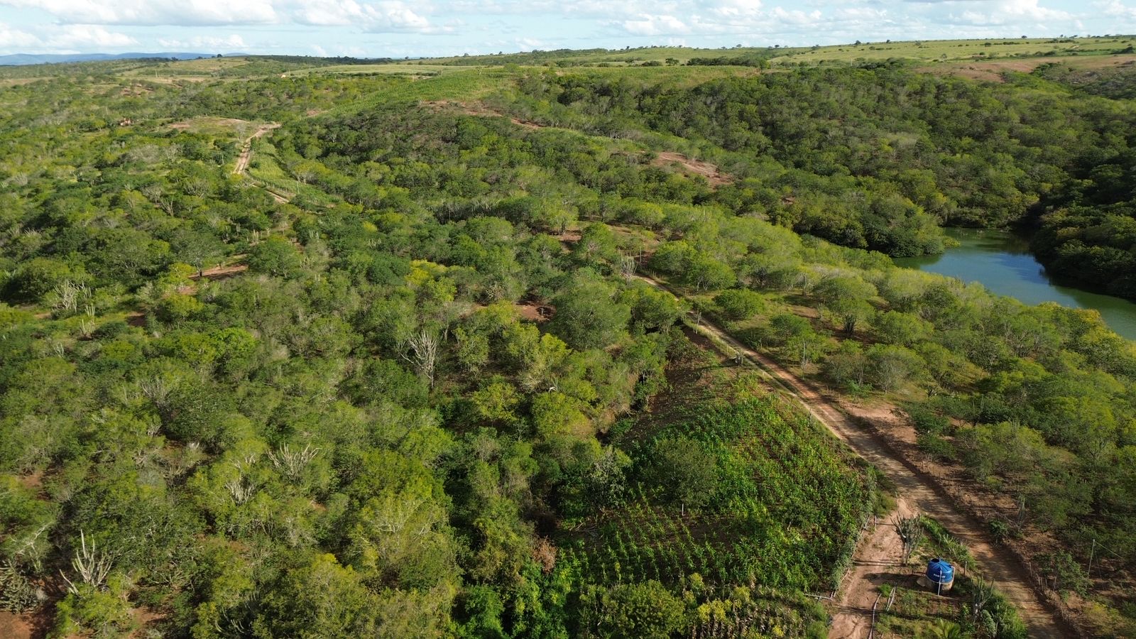 9ae325dd-905c-4f24-8285-28ed43cbe910