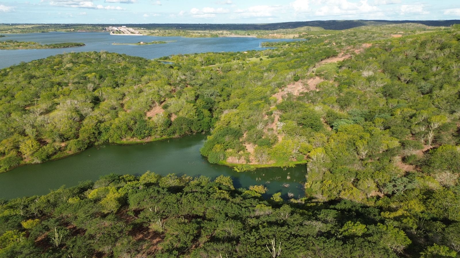 9c091097-a023-4810-949e-8df7749dc556-1