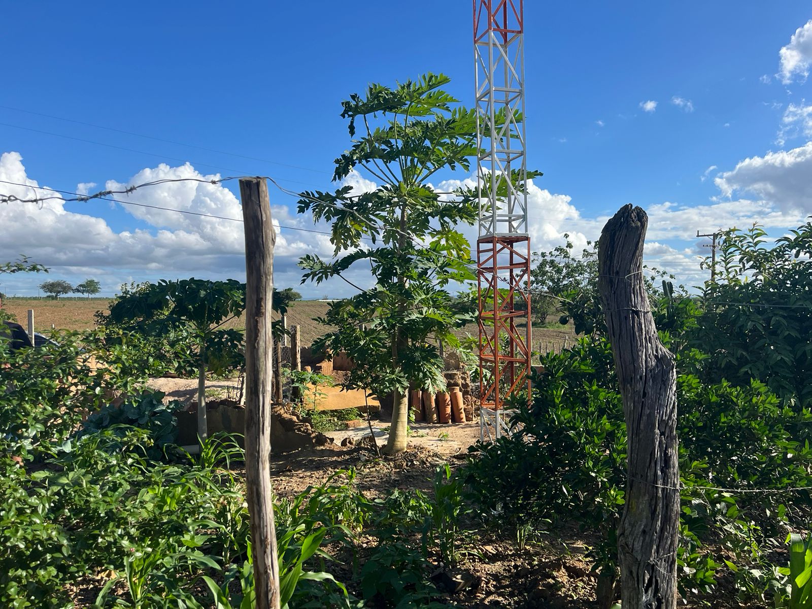 WhatsApp-Image-2024-05-28-at-17.15.32-2