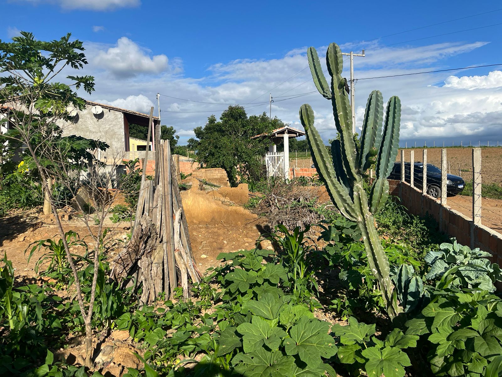 WhatsApp-Image-2024-05-28-at-17.15.33-3