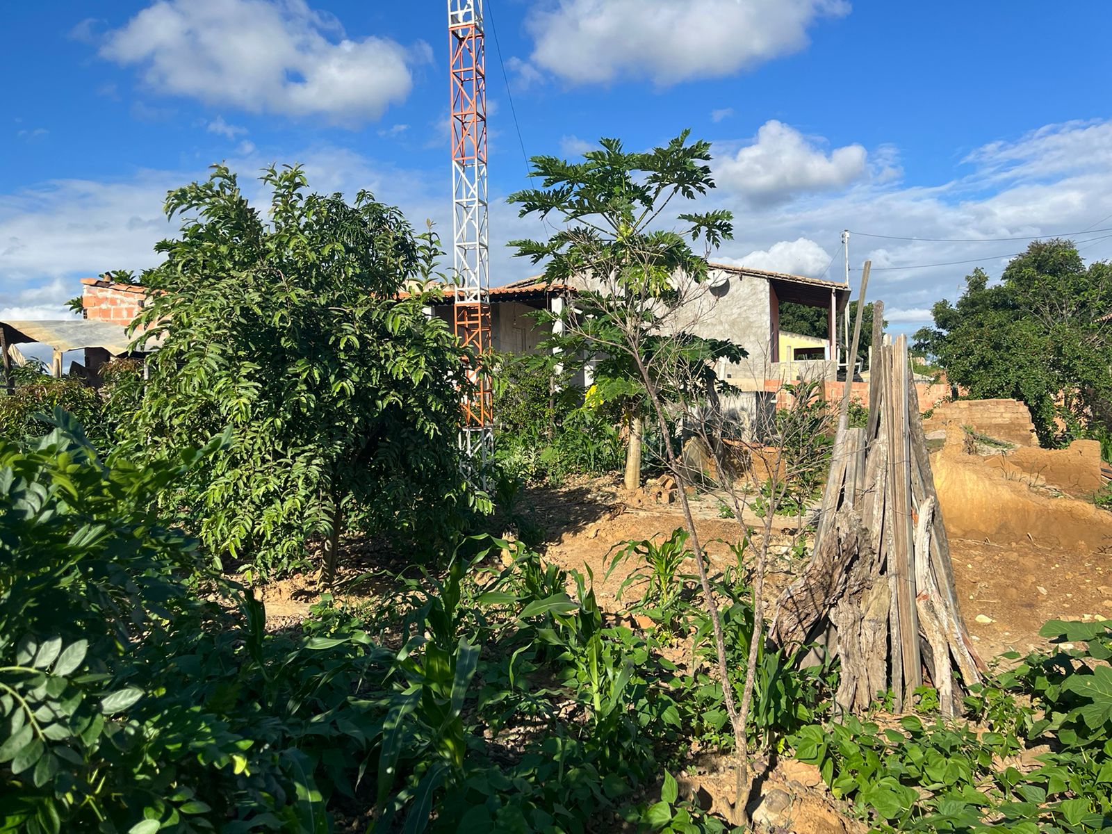 WhatsApp-Image-2024-05-28-at-17.15.34-1