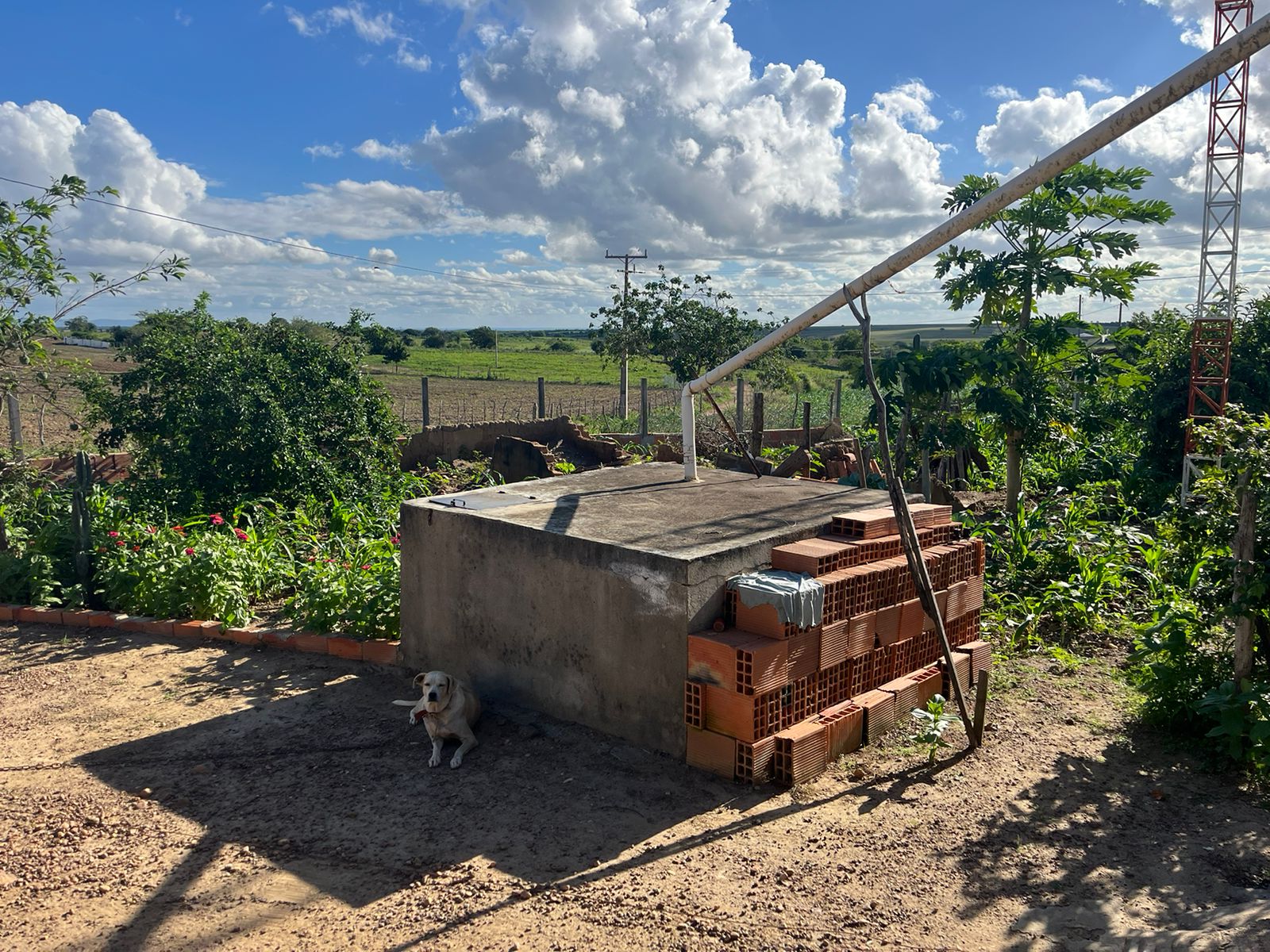 WhatsApp-Image-2024-05-28-at-17.15.36