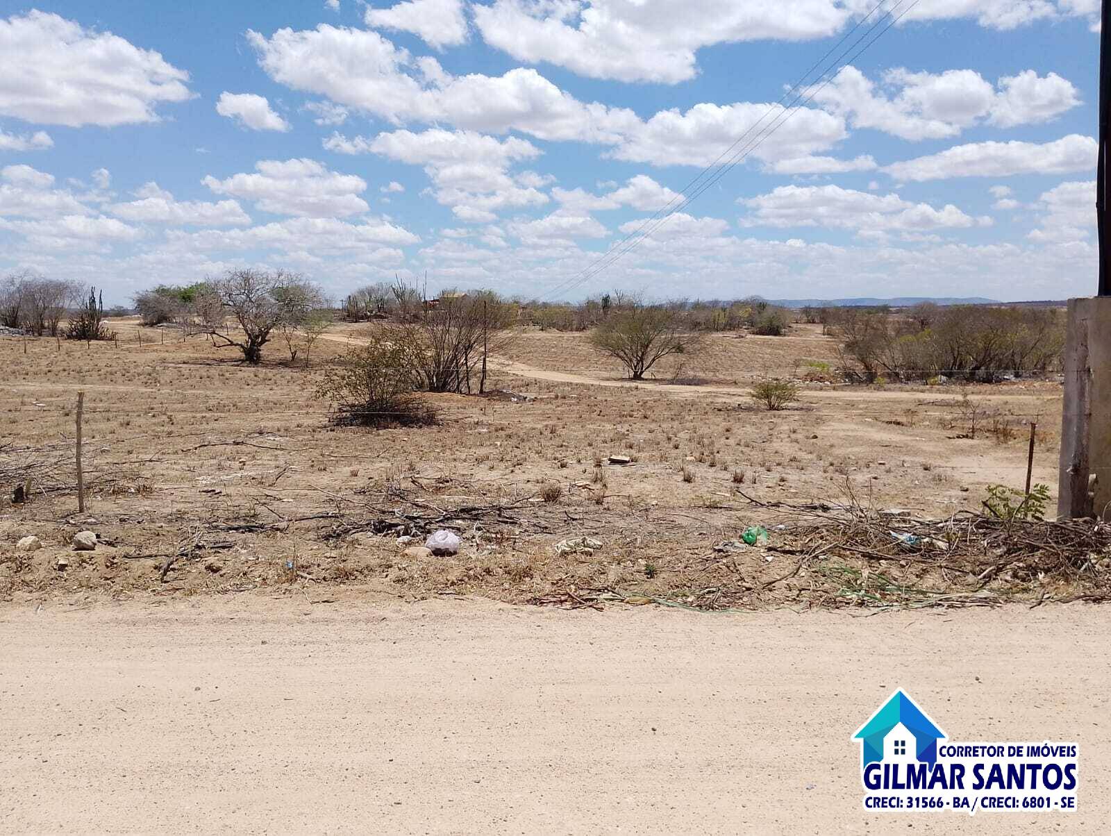 WhatsApp-Image-2025-12-24-at-16.51.41-1-1