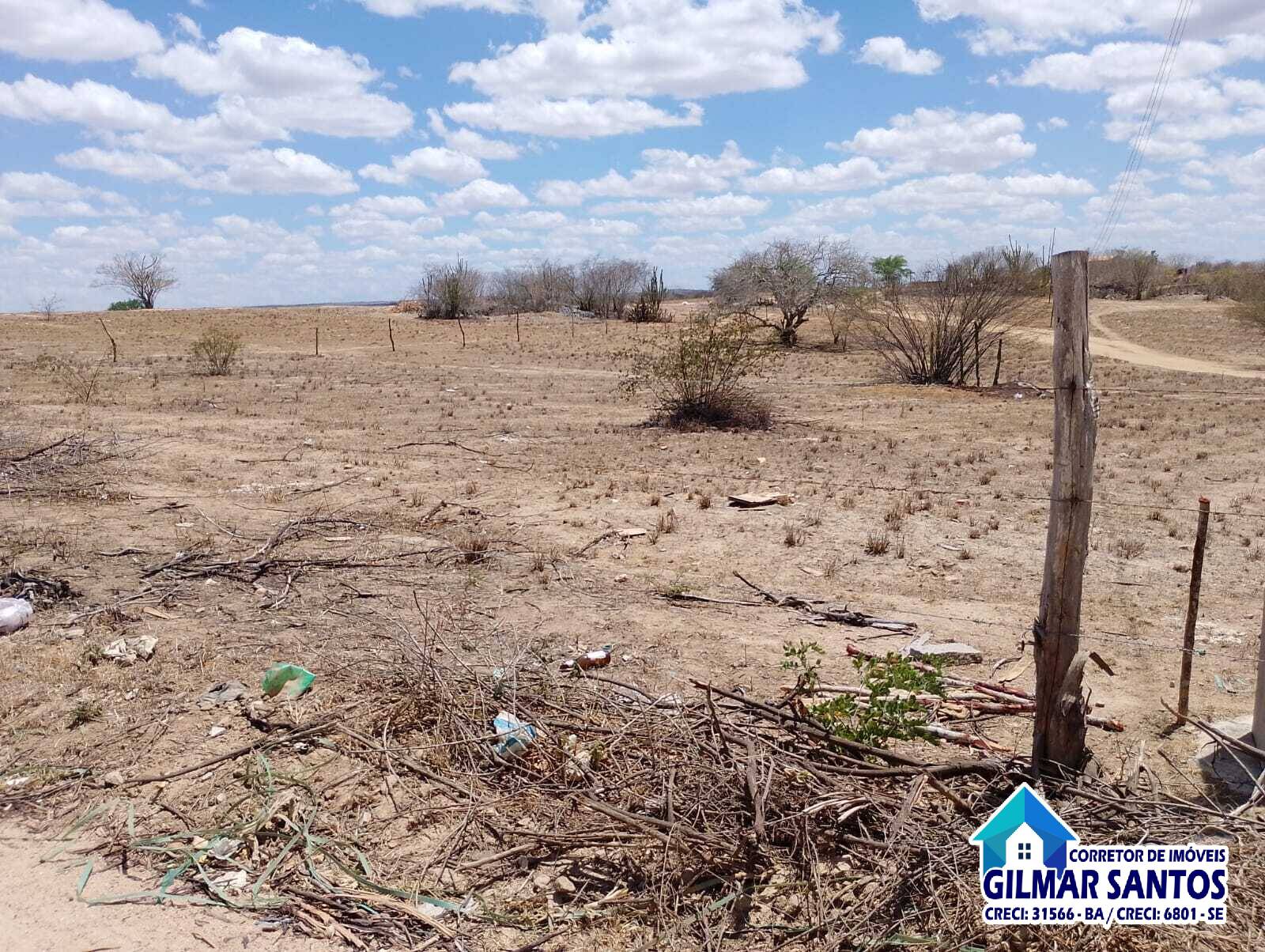 WhatsApp-Image-2025-12-24-at-16.51.41-2