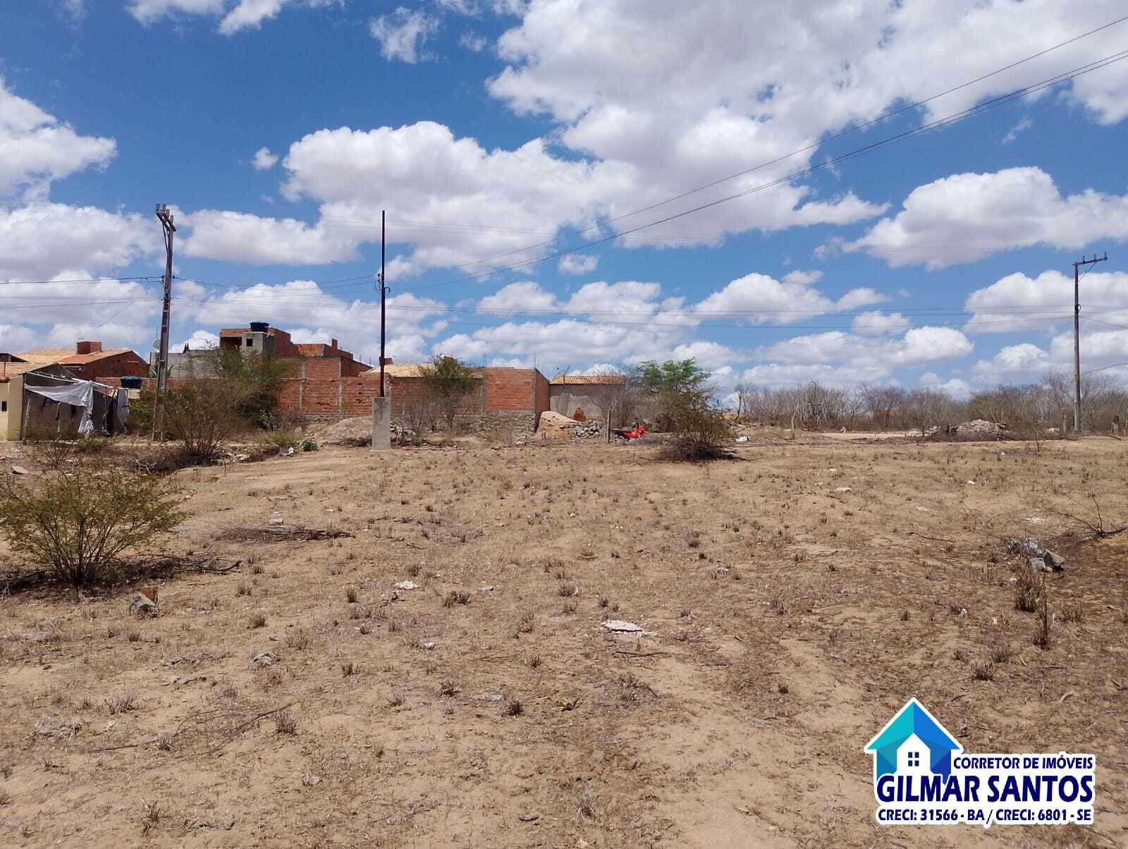 WhatsApp-Image-2025-12-24-at-16.51.41-3