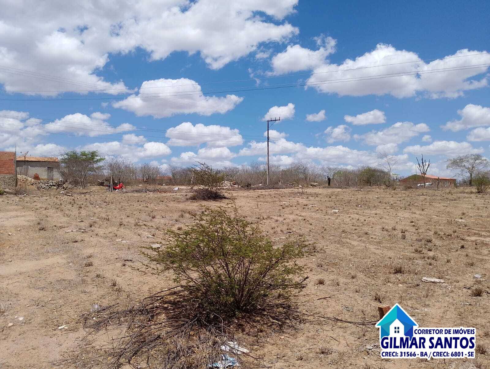 WhatsApp-Image-2025-12-24-at-16.51.41-4