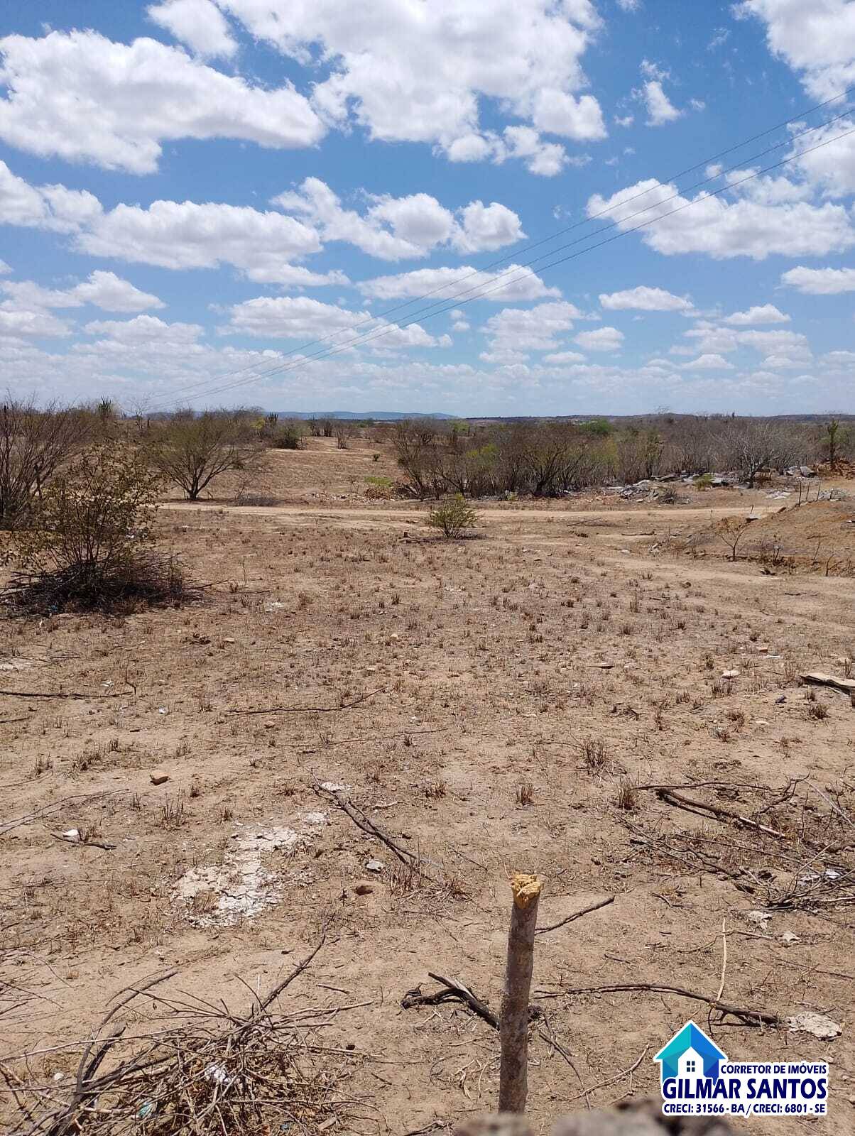 WhatsApp-Image-2025-12-24-at-16.51.41-5