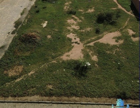 2d0325bc-2707-46d9-ab10-1cead32dbdc1-2